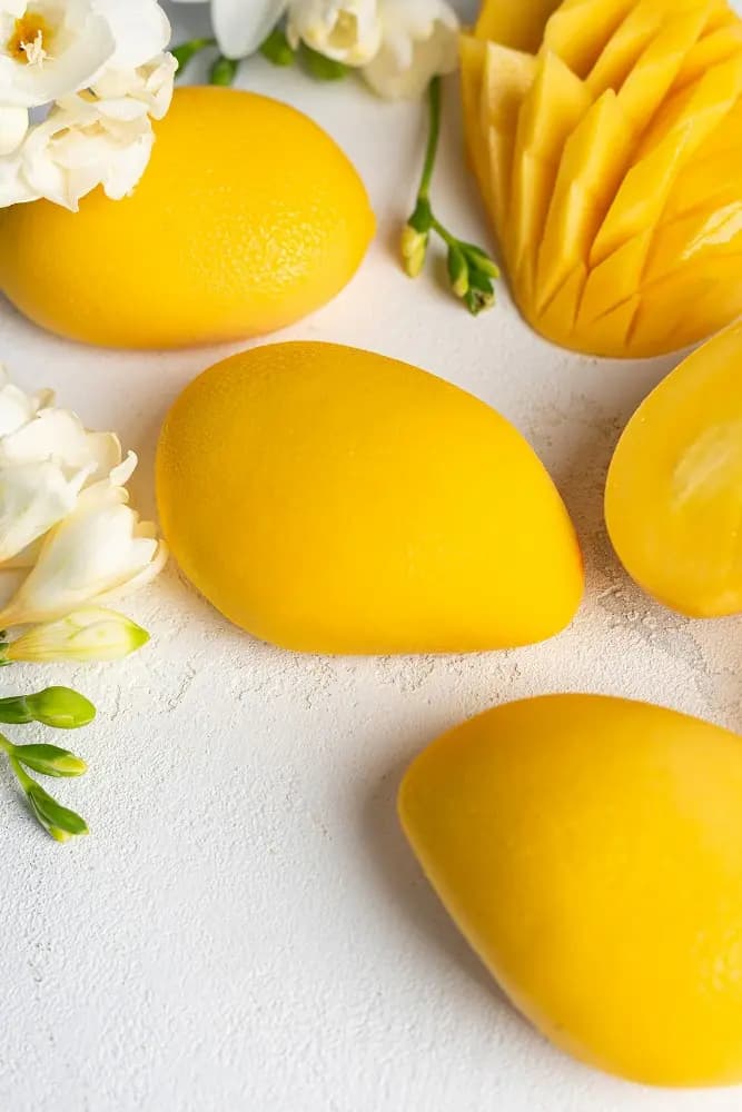 Mango Chocolate Shell Entremets